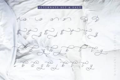 Abbassy Script Font by Beautypes — Script Handwritten Font — thumbnail 8