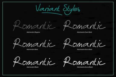 Abichondro Script Font by Selotype — Script Handwritten Font — thumbnail 4