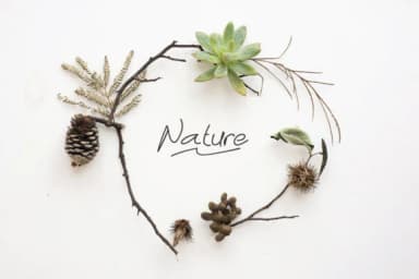 Abichondro Script Font by Selotype — Script Handwritten Font — thumbnail 9