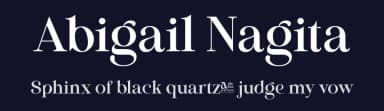 Abigail Nagita by Chairul Ma'arif — Serif Font — thumbnail 2