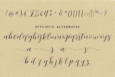 Abigaile Script Font by JumboDesign — Script Handwritten Font — thumbnail 7