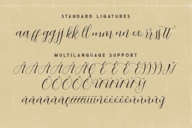 Abigaile Script Font by JumboDesign — Script Handwritten Font — thumbnail 8