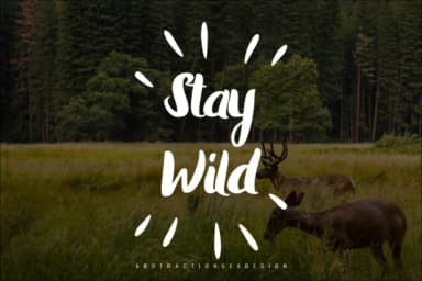 Abstraction Font by geadesign — Script Handwritten Font — thumbnail 5