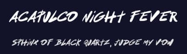 Acapulco Night Fever by Woodcutter — Script Handwritten Font — thumbnail 2