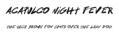 Acapulco Night Fever by Woodcutter — Script Handwritten Font — thumbnail 1
