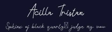 Acilla Tristan by Edric Studio — Script Handwritten Font — thumbnail 2
