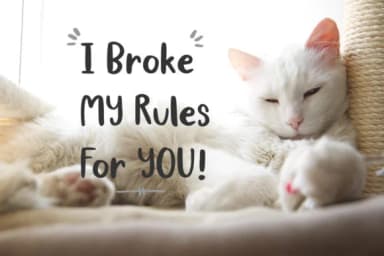 Adalicia Font by Studio_Art — Script Handwritten Font — thumbnail 3