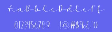 Adelicia by Wahyu Studio — Script Handwritten Font — thumbnail 3