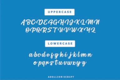 Adellion Font by Authentic Studio — Script Handwritten Font — thumbnail 2