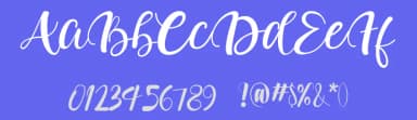 Adelwish by Jujun Gag — Script Handwritten Font — thumbnail 3