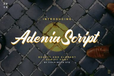 Adenia Script Font by Typia Nesia — Script Handwritten Font — thumbnail 1