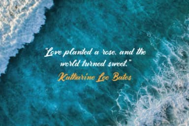 Adenia Script Font by Typia Nesia — Script Handwritten Font — thumbnail 4