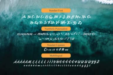 Adenia Script Font by Typia Nesia — Script Handwritten Font — thumbnail 6