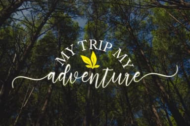 Adiescode Script Font by Bexx Type — Script Handwritten Font — thumbnail 6