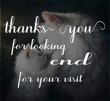 Adinda Font by maydhen studio — Script Handwritten Font — thumbnail 5