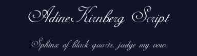 AdineKirnberg Script by David Rakowski — Script Handwritten Font — thumbnail 2
