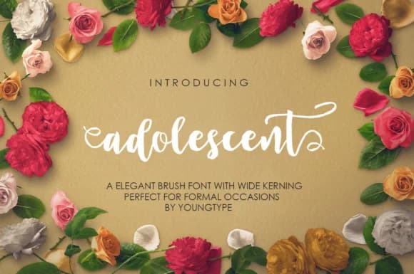 Adolescent Font by Youngtype — Script Handwritten Font