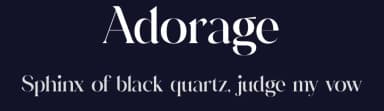 Adorage by Storytype Studio — Serif Font — thumbnail 2
