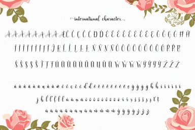 Adreena Script Font by Aqr Typeface — Script Handwritten Font — thumbnail 7