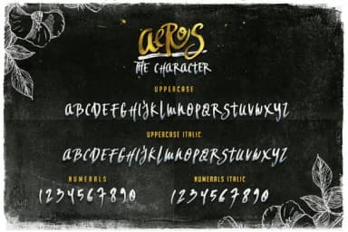 Aeros Font by Drizy Studio — Script Handwritten Font — thumbnail 2