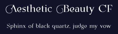 Aesthetic Beauty CF by Mocha Frappuccino — Serif Font — thumbnail 2