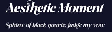 Aesthetic Moment by Mocha Frappuccino — Serif Font — thumbnail 2