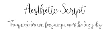 Aesthetic Script by zulkhairilettering — Script Handwritten Font — thumbnail 1