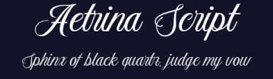 Aetrina Script by Typetemp Studio — Script Handwritten Font — thumbnail 2