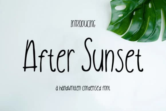 After Sunset Font by CreatypeStudio — Script Handwritten Font