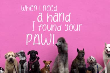 After Sunset Font by CreatypeStudio — Script Handwritten Font — thumbnail 5