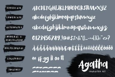 Agatha Font by letterzhe — Script Handwritten Font — thumbnail 8