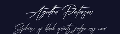 Agatha Paterson by Letterena Studios — Script Handwritten Font — thumbnail 2