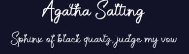 Agatha Salting by Airotype — Script Handwritten Font — thumbnail 2