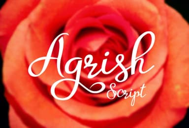 Agrish Font by Digital Typeface Studio — Script Handwritten Font — thumbnail 1