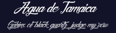 Agua de Jamaica by Cat.B — Script Handwritten Font — thumbnail 2