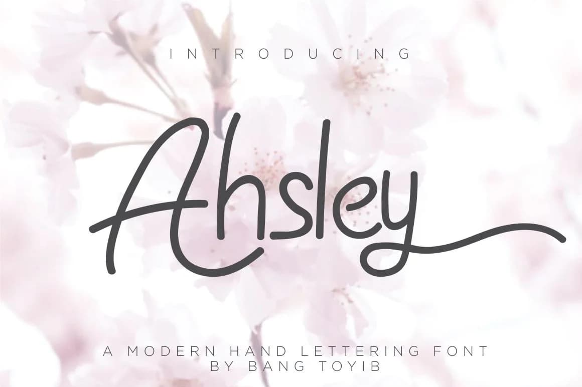 Ahsley Font by Eldertype Studio — Script Handwritten Font — preview 1