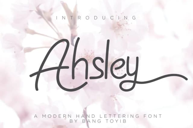 Ahsley Font by Eldertype Studio — Script Handwritten Font