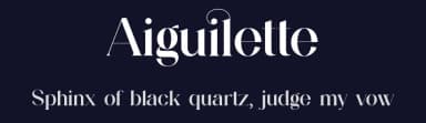 Aiguilette by UI Creative — Serif Font — thumbnail 2