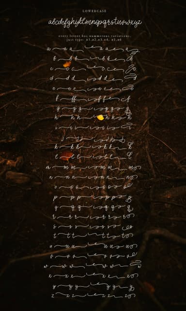 Aisling Font by Red Ink — Script Handwritten Font — thumbnail 8