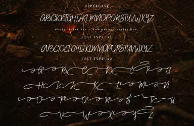 Aisling Font by Red Ink — Script Handwritten Font — thumbnail 9