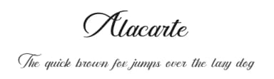 Alacarte by Erik Studio — Script Handwritten Font — thumbnail 1