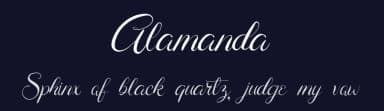 Alamanda by Creassion Studio — Script Handwritten Font — thumbnail 2