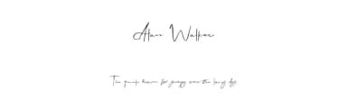 Alan Walker by Mariyana — Script Handwritten Font — thumbnail 1
