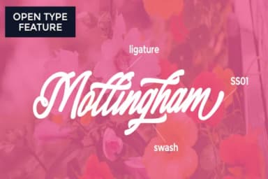 Alaysa Font by utopiabrand19 — Script Handwritten Font — thumbnail 4