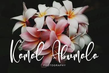 Alcott Ghalliana Font by Pineungtype & Missinklab — Script Handwritten Font — thumbnail 3