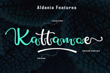 Aldania Font by Subectype — Script Handwritten Font — thumbnail 5