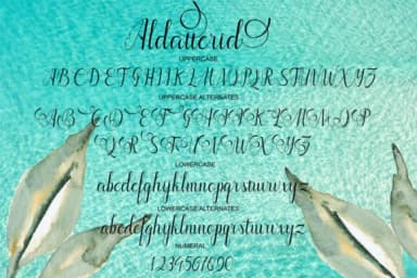 Aldatterid Font by varennew — Script Handwritten Font — thumbnail 7