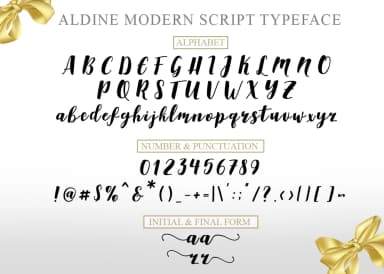 Aldine Font by Khurasan — Script Handwritten Font — thumbnail 8