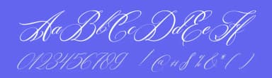 Aldyn Heart by Denustudios — Script Handwritten Font — thumbnail 3