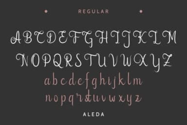 Aleda Font by EdricStudio — Script Handwritten Font — thumbnail 4